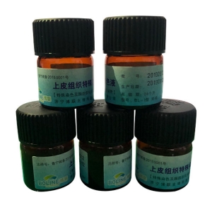 上皮组织染血液