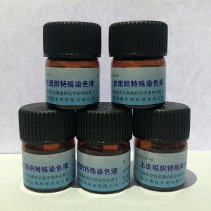 上皮组织染血液