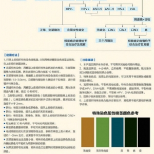 上皮组织染血液